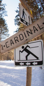 Clarence-Rockland, Ontario road sign with a skier on it.