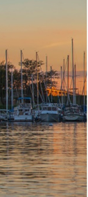 Sarnia, Ontario, a row of sailboats at a dock near sunset.