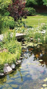 Parma Heights Ohio a pond and small wooden walkway over it with greenery around.