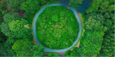 thinkstep. A circular path with green grass and trees inside and out, from above.