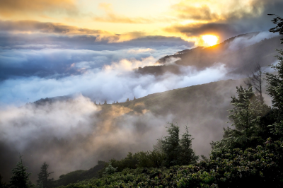 United States Environmental Protection Agency. A mountainside with green trees peaking through dense fog and the sun peaking through in the background.