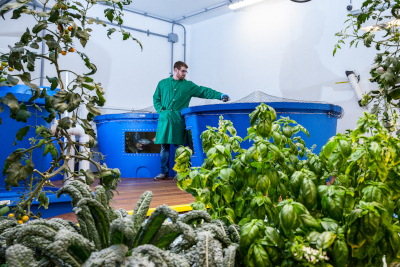 Green Relief aquaponics tanks with employee working.