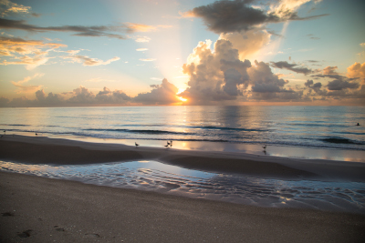 Hallandale Beach, Florida sunset on the ocean.