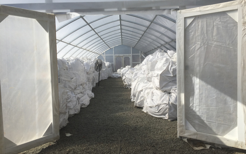 Global Hemp Group Inc. view inside a greenhouse storing bags of product.