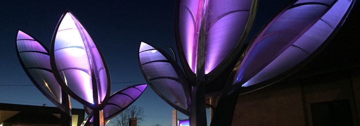 Marion Iowa; Uptown artway evoke at night. Lit up artwork that looks similar to leaves.