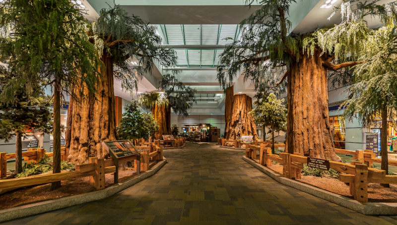 Fresno Yosemite International Airport tree lobby.