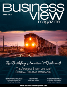 June 2015 Issue cover of Business View Magazine.