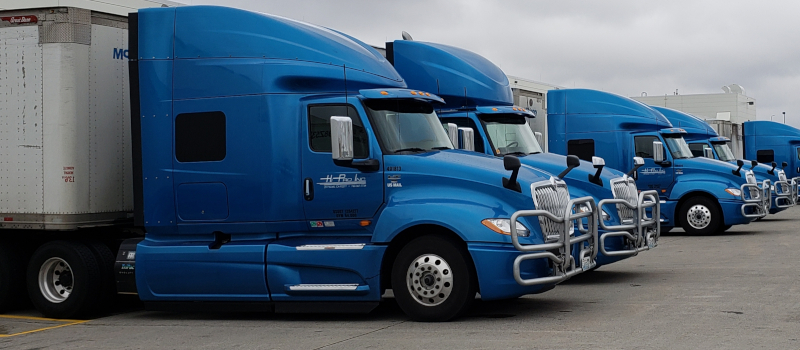 MTC Transportation, row of semi trucks.