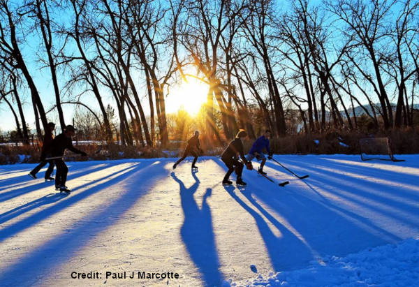 Longmont, Colorado pond hockey with sun shining between trees in the background.