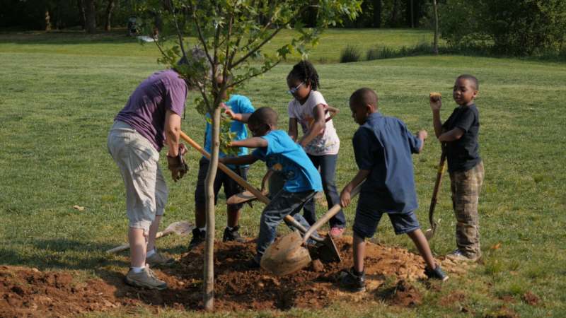 Ashville, North Carolina tree planting with an adult and kids.