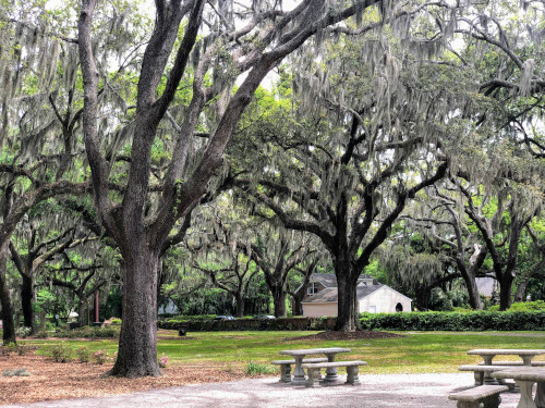 Beaufort, South Carolina park with trees and cement benches.