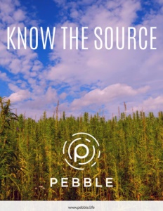 Pebble Global Holdings brochure cover. Click to view.