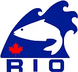 Rio import and export logo.