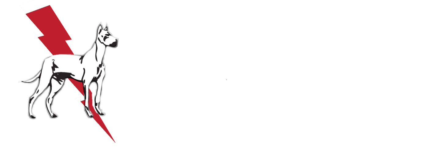 Dane Electric logo.
