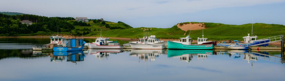 The Fisheries Council of Canada. Boats docked in a row in front of a green hill.