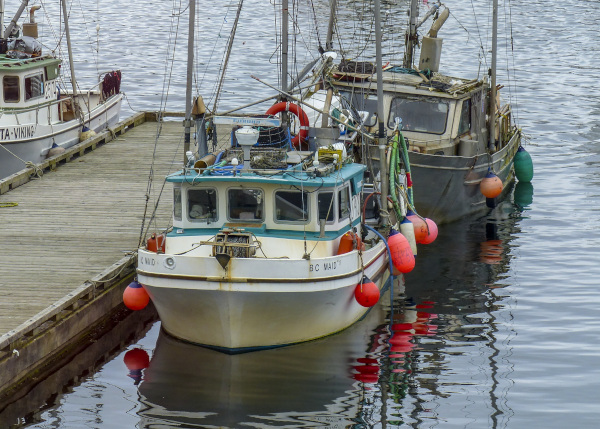 The Fisheries Council of Canada. A fishing boat tied up at a dock.