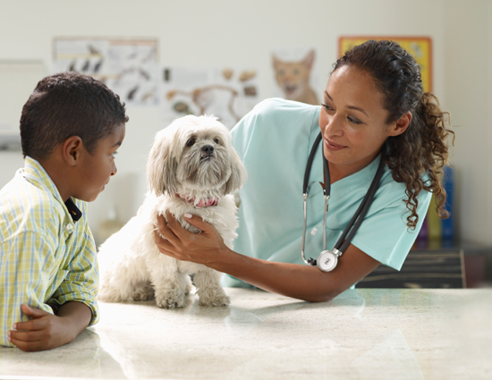 Pethealth; a boy and dog with a veterinarian and the dog on a table.