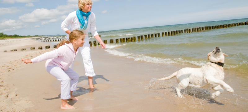 Pethealth; A girl and woman playing on the beach with a dog.