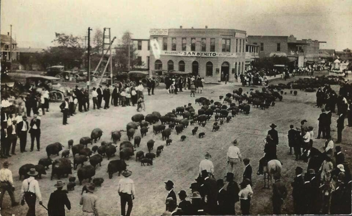 San Benito, Texas, TX Hogwaddle photo from around 1914