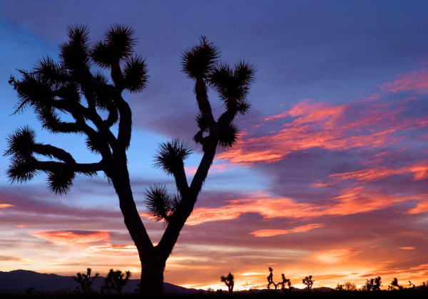 Adelanto, California sunset.