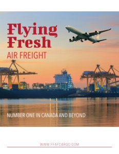 Flying Fresh Air Freight brochure cover.