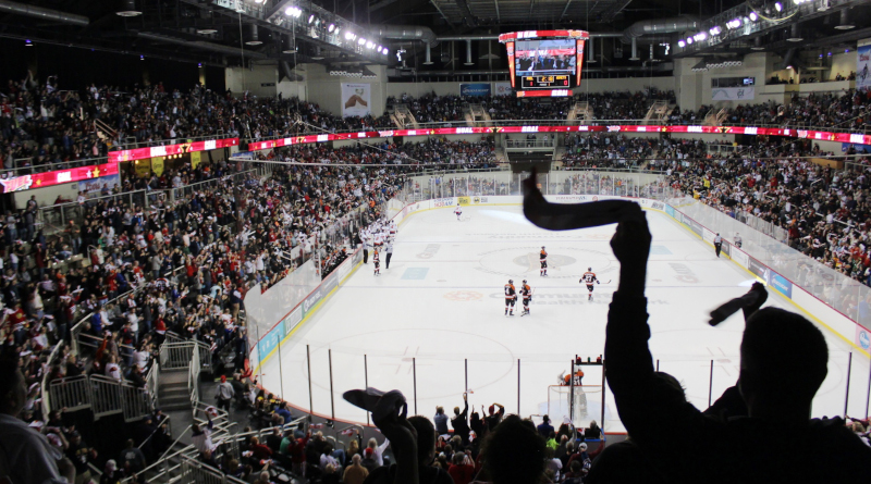 Indiana State Fairgrounds & Event Center Hockey Game view from the stands with the silhouette of a fan waving something.