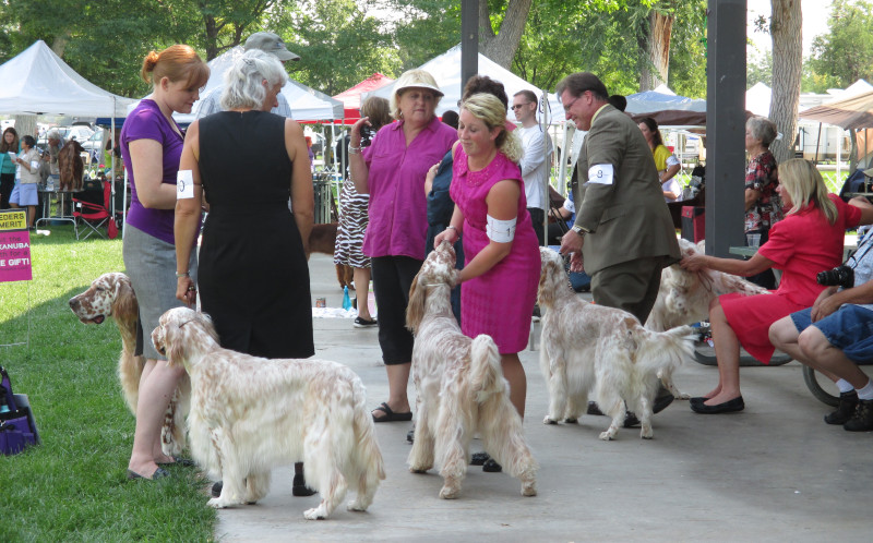 Island Grove Regional Park dog show.