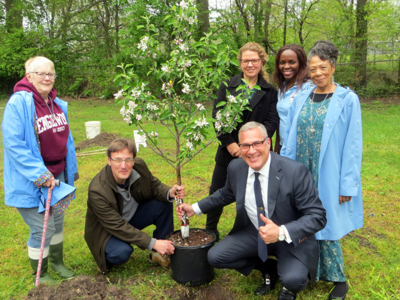 Englewood, New Jersey Jim Fedorko, Mayor Michael Wildes, Aliza Solomon, Caroline Machiri, and Crystal Brown planting an apple tree.