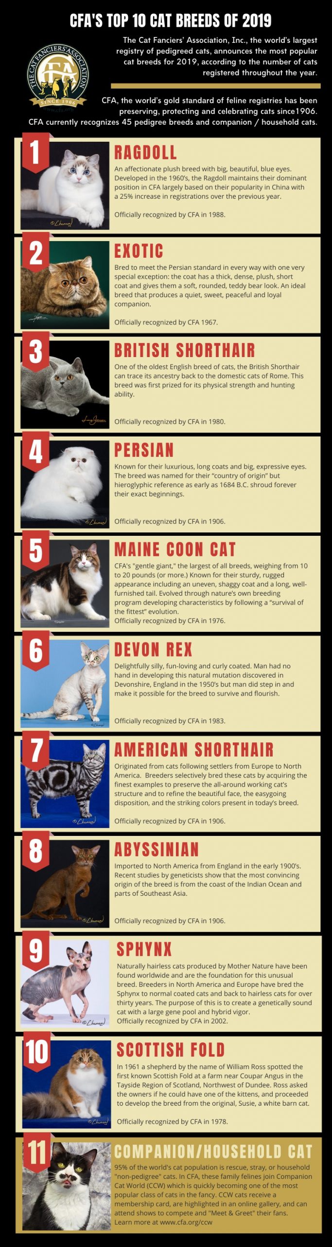 The Cat Fanciers' Association, Inc. (CFA) Announces Top 10 Most Popular ...