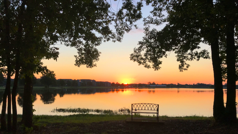 Maumelle, Arkansas lake view at sunset with a bench in between trees in front of the water.