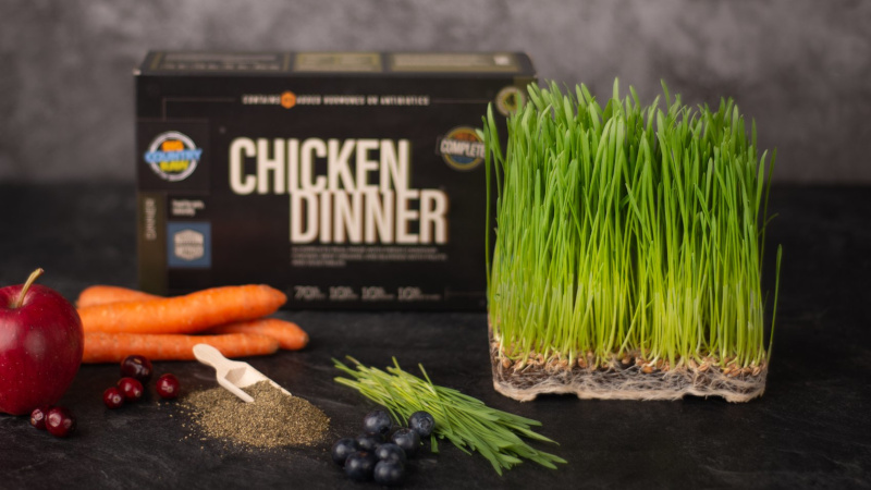 Big Country Raw Chicken Dinner box with fresh ingredients positioned in front, carrots, grass, apple, herbs, fruit..