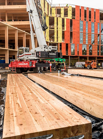 Swinerton Mass Timber Dimensional Lumber