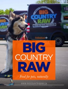 big country dog food