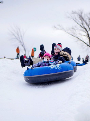 Franklin - Fun in the snow