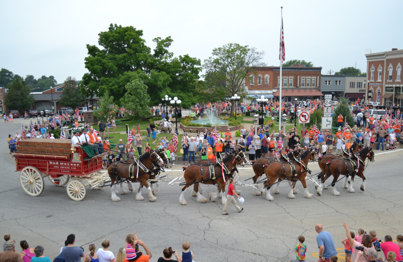 Washington, Illinois Budweiser horse and carriage