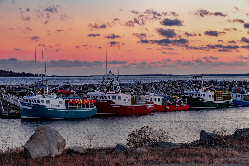 Shelburne, Nova Scotia Lobster Fishing Boats at port with a colorful sunset