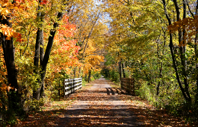 Village of New Lenox, Illinois