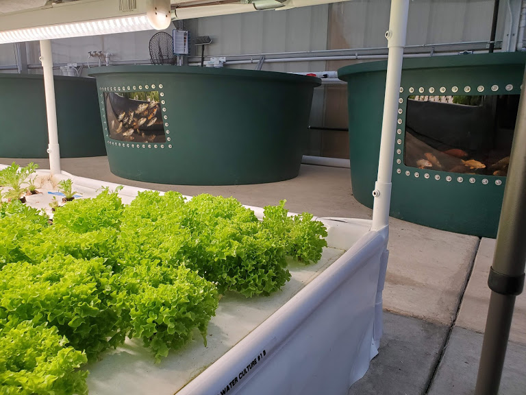 The Aquaponics Association