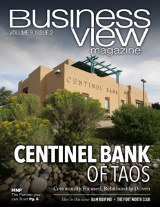 Volume 9 Issue 2 business view magazine.