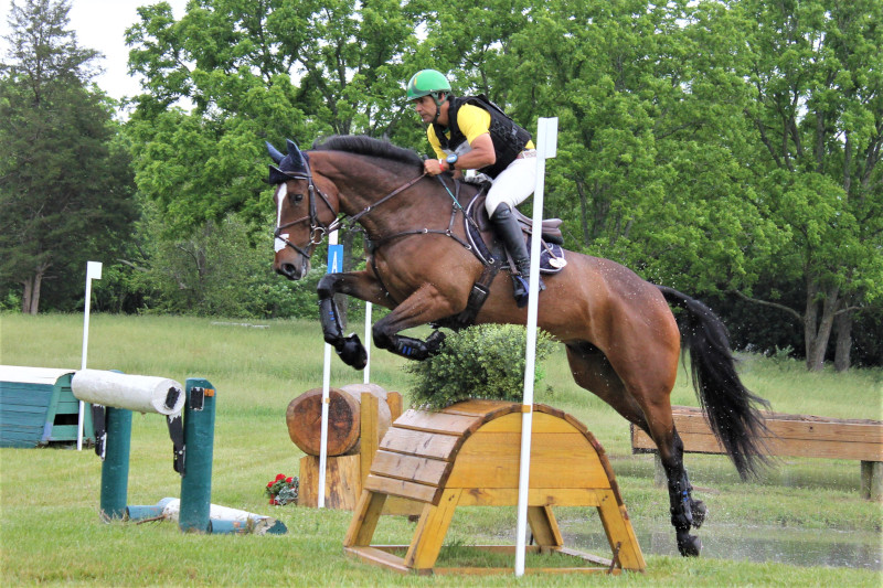 Virginia Horse Center - Lexington, Virginia