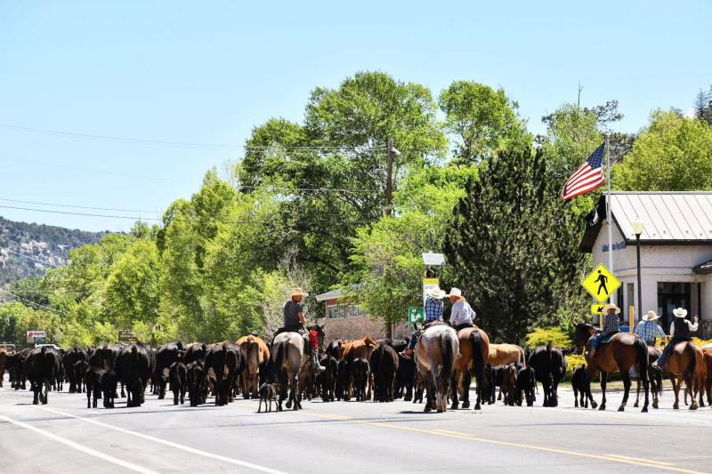 Montezuma County, Colorado - along the borders of Utah, Mexico, and Arizona