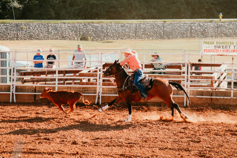 Tennessee Valley Fair - Knoxville, Tennessee