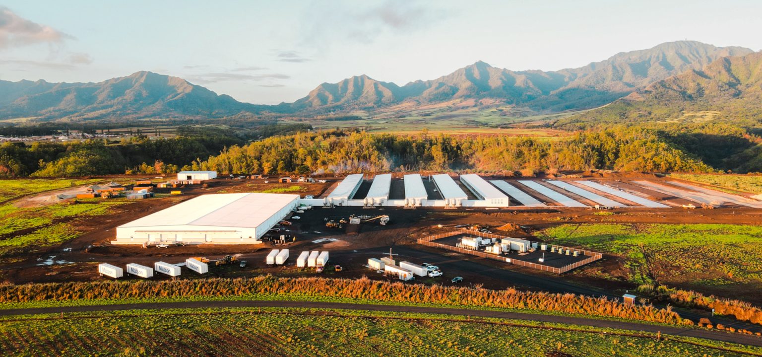 Waialua Fresh / Villa Rose Egg Farm O’ahu, Hawaii Business View