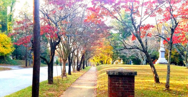 York, South Carolina - York County | Business View Magazine